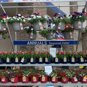 Lowes_Cart_Holiday_Banners Lowes_Cart_Holiday_Banners